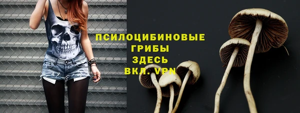 амф Белокуриха