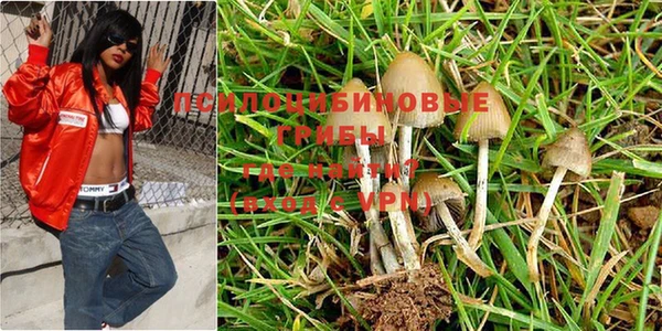 альфа пвп Богданович