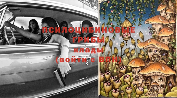 амф Белокуриха