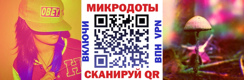 Псилоцибиновые грибы Cubensis  Севск 